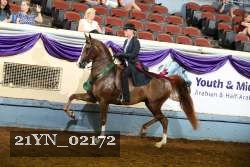 21YN_02172 thumbnail