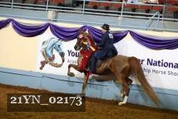 21YN_02173 thumbnail