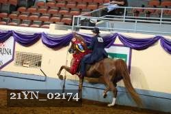21YN_02174 thumbnail