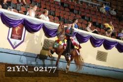 21YN_02177 thumbnail