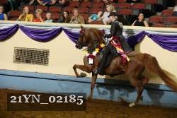 21YN_02185 thumbnail