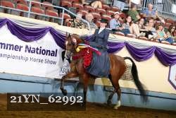 21YN_62992 thumbnail