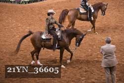 21YN_36605 thumbnail