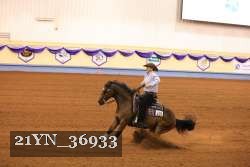 21YN_36933 thumbnail