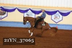 21YN_37065 thumbnail