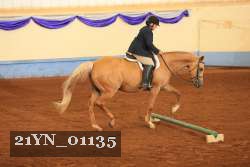 21YN_01135 thumbnail
