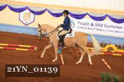 21YN_01139 thumbnail