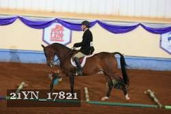 21YN_17821 thumbnail