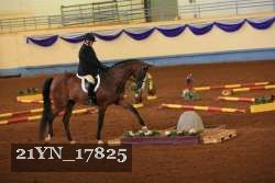 21YN_17825 thumbnail