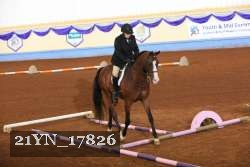 21YN_17826 thumbnail