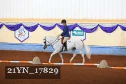 21YN_17829 thumbnail