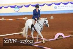 21YN_17831 thumbnail