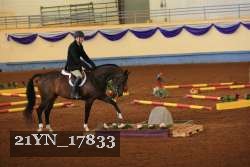 21YN_17833 thumbnail