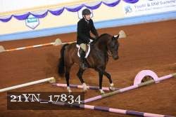 21YN_17834 thumbnail