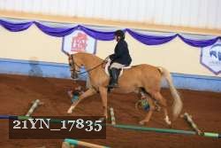 21YN_17835 thumbnail