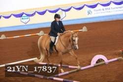 21YN_17837 thumbnail