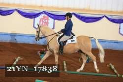 21YN_17838 thumbnail