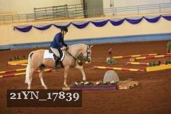 21YN_17839 thumbnail