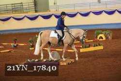 21YN_17840 thumbnail