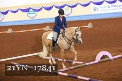 21YN_17841 thumbnail