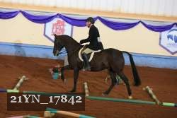 21YN_17842 thumbnail