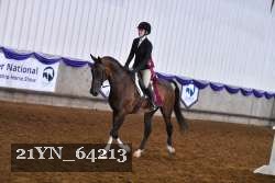 21YN_64213 thumbnail