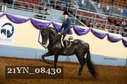 21YN_08430 thumbnail
