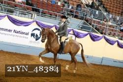 21YN_48384 thumbnail