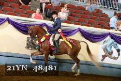 21YN_48481 thumbnail