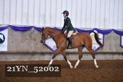 21YN_52002 thumbnail