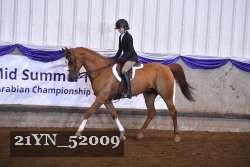 21YN_52009 thumbnail