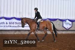 21YN_52010 thumbnail