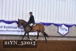 21YN_52013 thumbnail