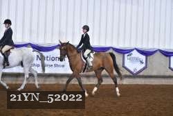 21YN_52022 thumbnail