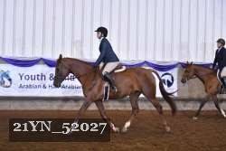 21YN_52027 thumbnail