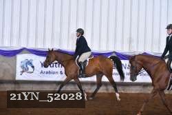 21YN_52028 thumbnail