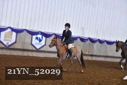 21YN_52029 thumbnail