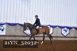 21YN_52032 thumbnail