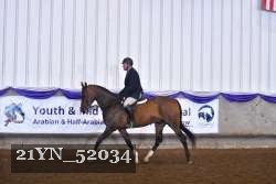 21YN_52034 thumbnail