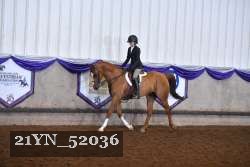 21YN_52036 thumbnail