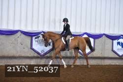 21YN_52037 thumbnail