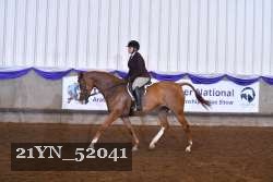 21YN_52041 thumbnail