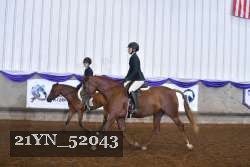 21YN_52043 thumbnail