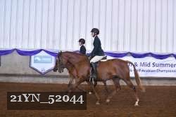 21YN_52044 thumbnail