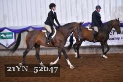 21YN_52047 thumbnail