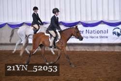 21YN_52053 thumbnail