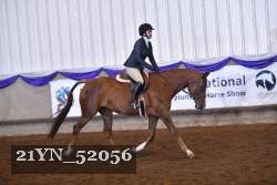 21YN_52056 thumbnail