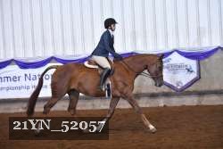 21YN_52057 thumbnail
