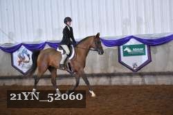 21YN_52060 thumbnail