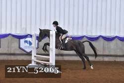 21YN_52065 thumbnail